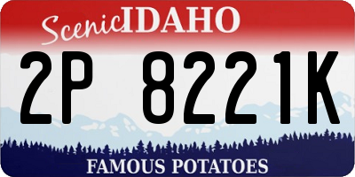 ID license plate 2P8221K