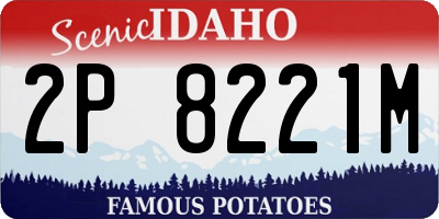 ID license plate 2P8221M