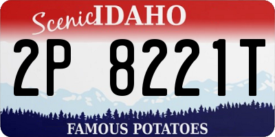 ID license plate 2P8221T