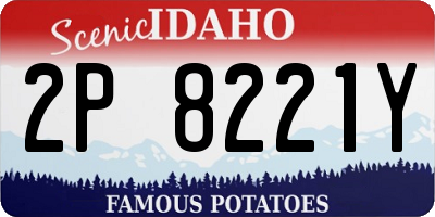 ID license plate 2P8221Y