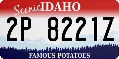 ID license plate 2P8221Z