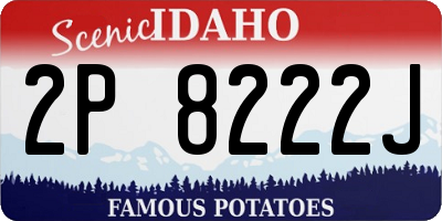 ID license plate 2P8222J