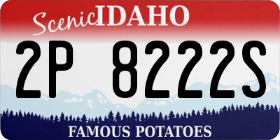ID license plate 2P8222S