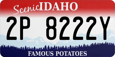 ID license plate 2P8222Y