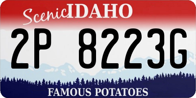 ID license plate 2P8223G
