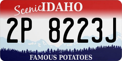 ID license plate 2P8223J