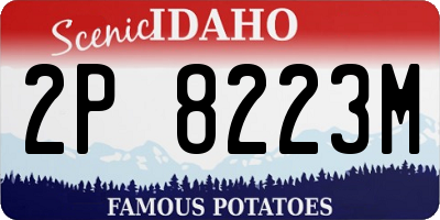 ID license plate 2P8223M