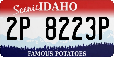 ID license plate 2P8223P