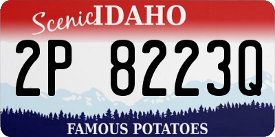 ID license plate 2P8223Q
