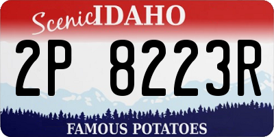 ID license plate 2P8223R