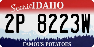 ID license plate 2P8223W