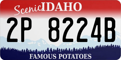 ID license plate 2P8224B