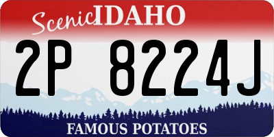 ID license plate 2P8224J