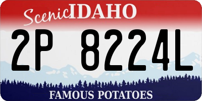 ID license plate 2P8224L