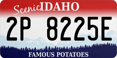 ID license plate 2P8225E