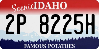 ID license plate 2P8225H