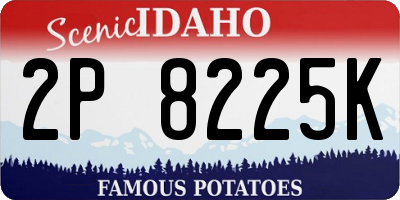 ID license plate 2P8225K