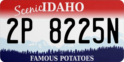 ID license plate 2P8225N
