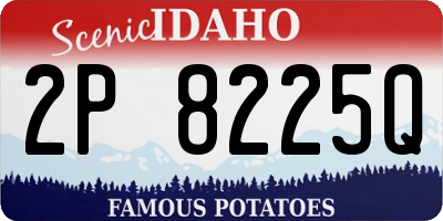ID license plate 2P8225Q