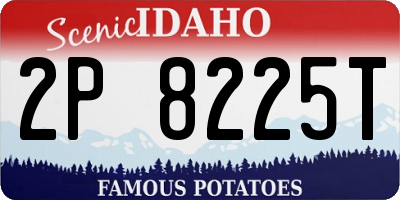ID license plate 2P8225T