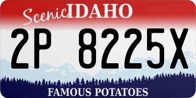 ID license plate 2P8225X