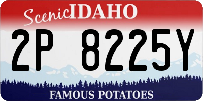 ID license plate 2P8225Y