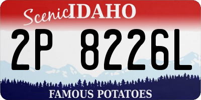 ID license plate 2P8226L
