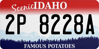 ID license plate 2P8228A