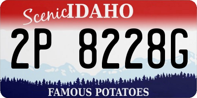 ID license plate 2P8228G