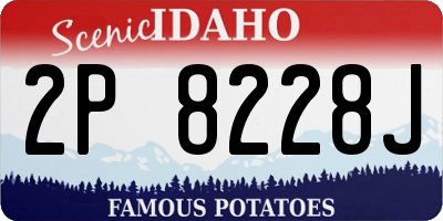 ID license plate 2P8228J