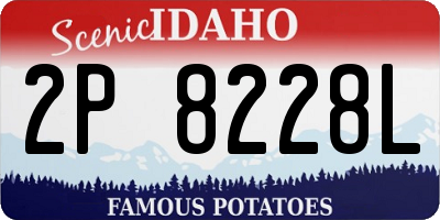ID license plate 2P8228L