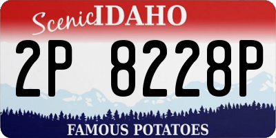 ID license plate 2P8228P