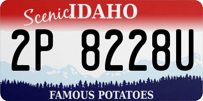 ID license plate 2P8228U