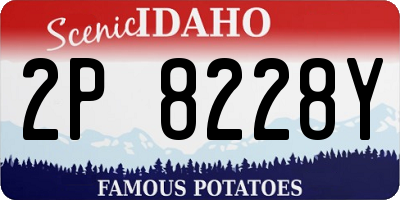 ID license plate 2P8228Y