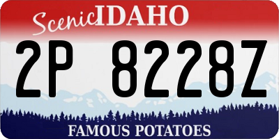 ID license plate 2P8228Z