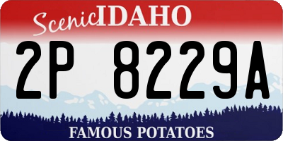 ID license plate 2P8229A