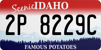 ID license plate 2P8229C