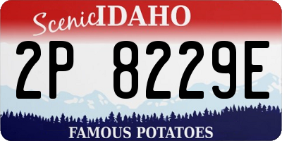 ID license plate 2P8229E