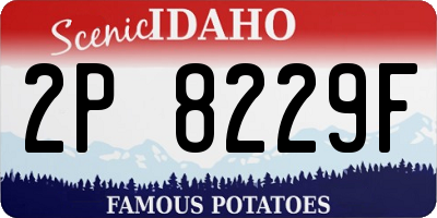 ID license plate 2P8229F