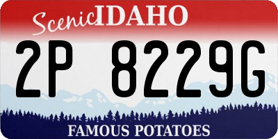 ID license plate 2P8229G