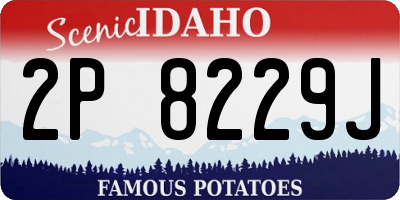 ID license plate 2P8229J