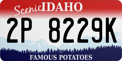 ID license plate 2P8229K