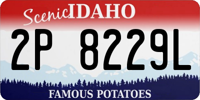 ID license plate 2P8229L