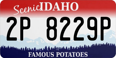 ID license plate 2P8229P