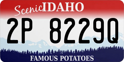 ID license plate 2P8229Q