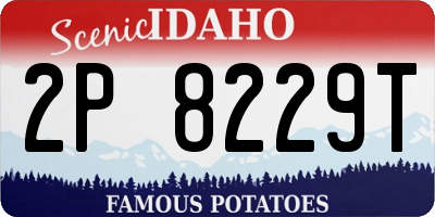 ID license plate 2P8229T
