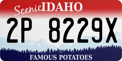 ID license plate 2P8229X