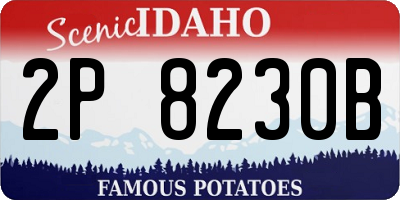 ID license plate 2P8230B