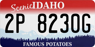ID license plate 2P8230G