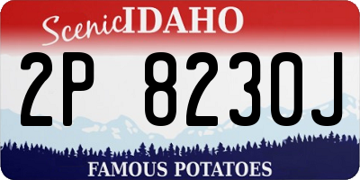ID license plate 2P8230J